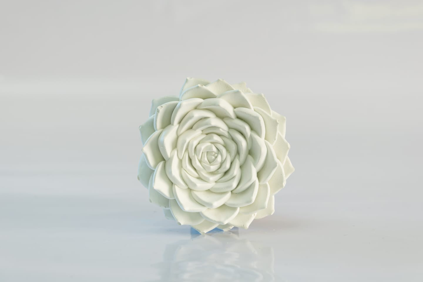 Fragrance diffuser to fill your home with a long-lasting, pleasant scent
