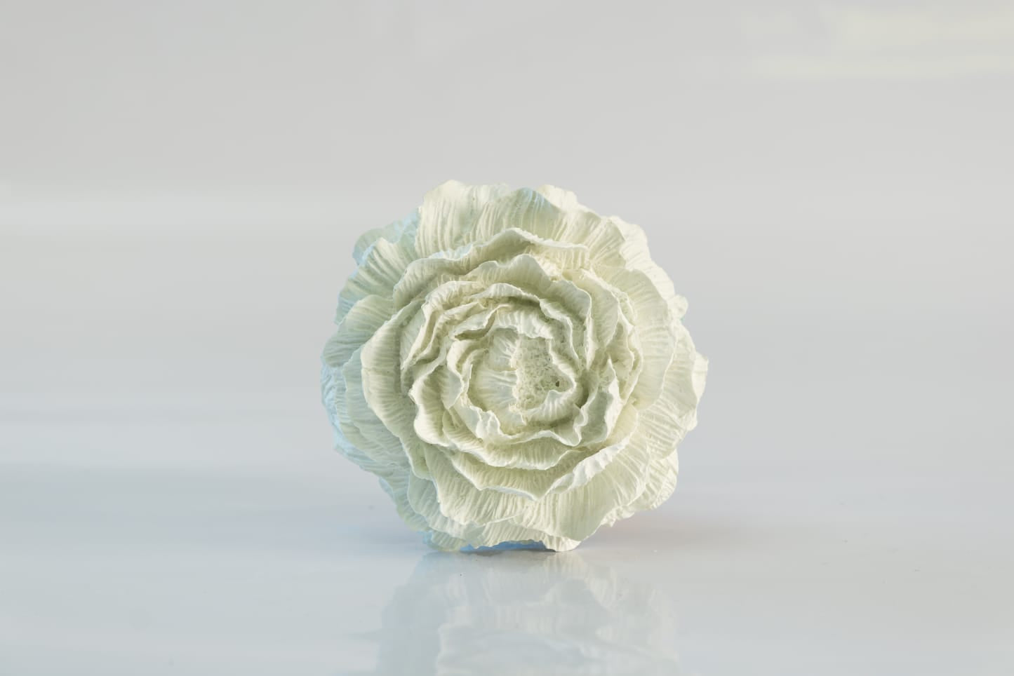 Fragrance diffuser to fill your home with a long-lasting, pleasant scent