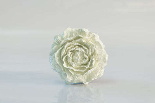 Fragrance diffuser to fill your home with a long-lasting, pleasant scent