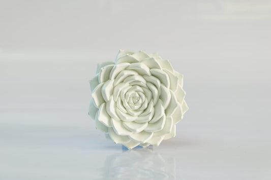 Fragrance diffuser to fill your home with a long-lasting, pleasant scent